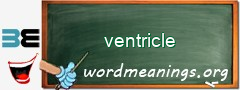 WordMeaning blackboard for ventricle